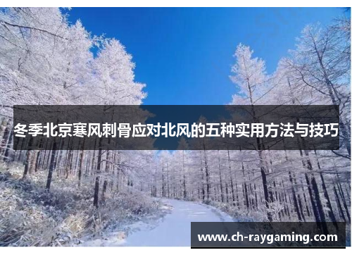 冬季北京寒风刺骨应对北风的五种实用方法与技巧