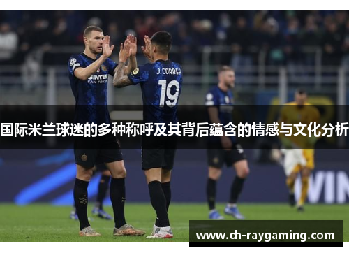 国际米兰球迷的多种称呼及其背后蕴含的情感与文化分析